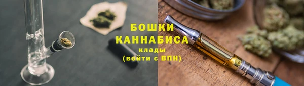 ПСИЛОЦИБИНОВЫЕ ГРИБЫ Белоозёрский