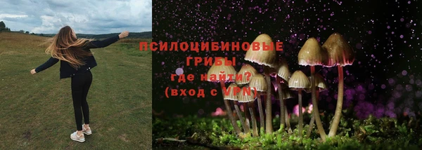 MDMA Premium VHQ Богородск